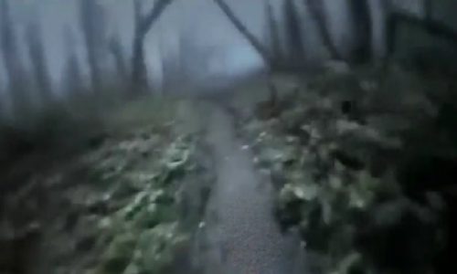 اسکرین شات بازی فرار در جنگل 2 3