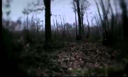 اسکرین شات بازی فرار در جنگل 2