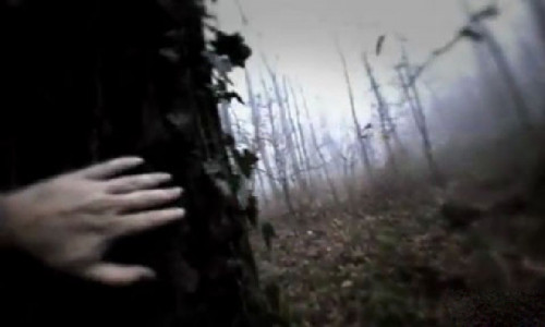 اسکرین شات بازی فرار در جنگل 1
