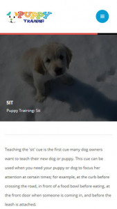 اسکرین شات برنامه Puppy Training 2