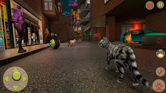 اسکرین شات بازی Wander Cat Simulator Games 2