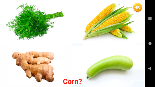 اسکرین شات 6 برنامه Fruits & Vegetables