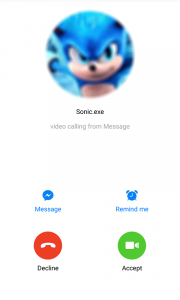 اسکرین شات برنامه Hedgehog Call Video super 1