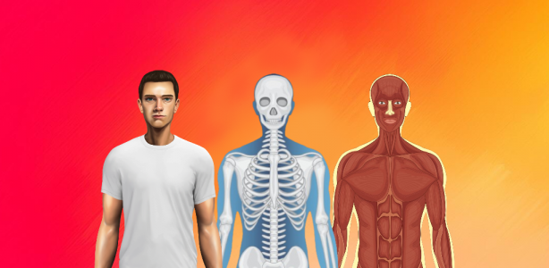 اسکرین شات 3 بازی Body Scanner - Xray Game Scan