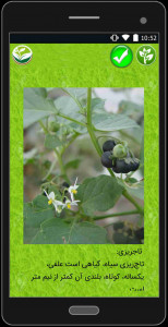 اسکرین شات برنامه گیاهان دارویی 6