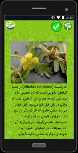 اسکرین شات برنامه گیاهان دارویی 7
