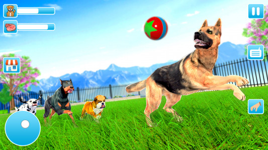 اسکرین شات بازی Animal Shelter Dog Rescue Game 2