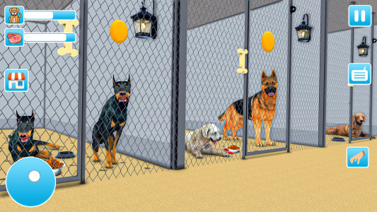 اسکرین شات بازی Animal Shelter Dog Rescue Game 3