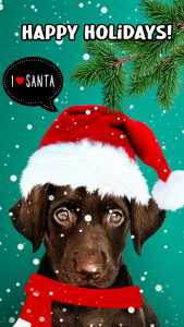 اسکرین شات 2 برنامه Christmas Frames Photo Editor