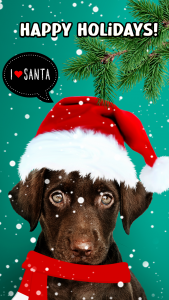 اسکرین شات برنامه Christmas photo editor 2