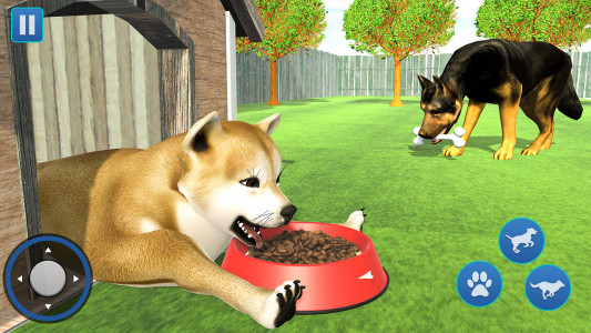 اسکرین شات بازی Dog Life Simulator 3d Game 2