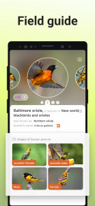 اسکرین شات برنامه Picture Bird - Bird Identifier 4