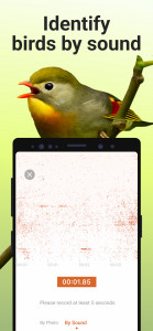 اسکرین شات برنامه Picture Bird - Bird Identifier 3