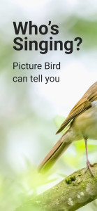 اسکرین شات برنامه Picture Bird - Bird Identifier 1