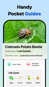 اسکرین شات 5 برنامه Picture Insect: Bug Identifier