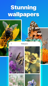 اسکرین شات برنامه Picture Insect - Bug Identifier 5