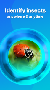 اسکرین شات برنامه Picture Insect - Bug Identifier 1