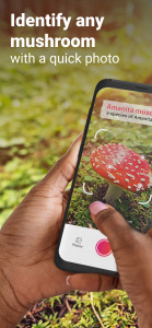 اسکرین شات 1 برنامه Picture Mushroom - Mushroom ID