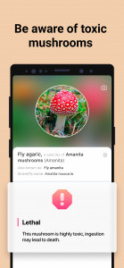 اسکرین شات 3 برنامه Picture Mushroom - Mushroom ID