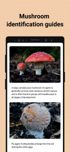 اسکرین شات 4 برنامه Picture Mushroom - Mushroom ID