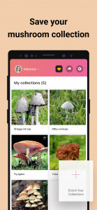 اسکرین شات 5 برنامه Picture Mushroom - Mushroom ID