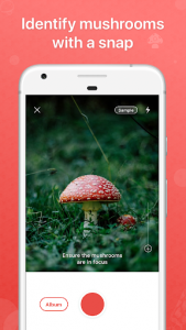 اسکرین شات برنامه Picture Mushroom - Mushroom ID 2