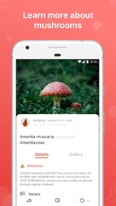 اسکرین شات برنامه Picture Mushroom - Mushroom ID 4