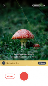 اسکرین شات برنامه Picture Mushroom - Mushroom ID 1