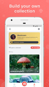اسکرین شات برنامه Picture Mushroom - Mushroom ID 5