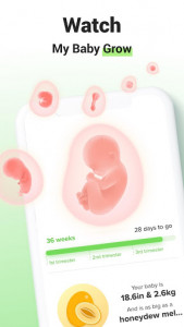اسکرین شات برنامه GLOW. Pregnancy & Baby Tracker 1