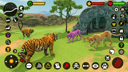 اسکرین شات 3 بازی Cheetah Simulator Cheetah Game