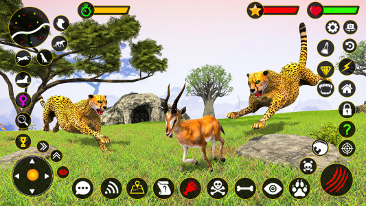 اسکرین شات 5 بازی Cheetah Simulator Cheetah Game
