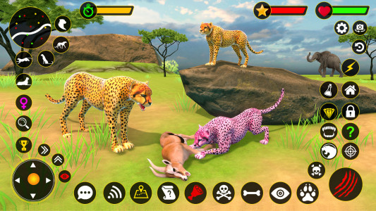 اسکرین شات بازی Cheetah Simulator Cheetah Game 1