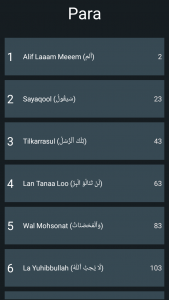 اسکرین شات برنامه 15 Lines Hefz/ Hafezi Quran 4