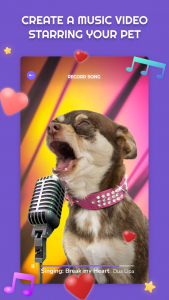 اسکرین شات برنامه PetStar 1