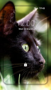 اسکرین شات برنامه Black Cat Wallpaper Full HD (backgrounds & themes) 1