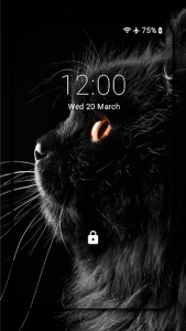 اسکرین شات برنامه Black Cat Wallpaper Full HD (backgrounds & themes) 4