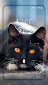 اسکرین شات برنامه Black Cat Wallpaper Full HD (backgrounds & themes) 5