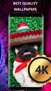 اسکرین شات 5 برنامه Funny wallpapers for phone