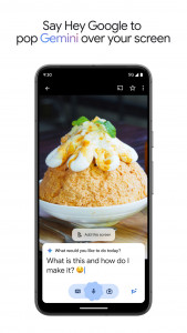 اسکرین شات برنامه Google Gemini 7