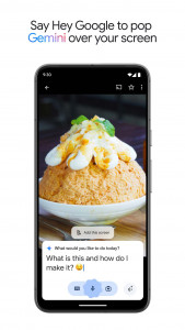 اسکرین شات برنامه Google Gemini 6