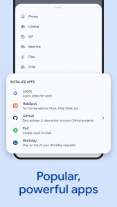 اسکرین شات 7 برنامه Google Chat