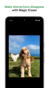 اسکرین شات 2 برنامه گوگل فوتوز (Google Photos)