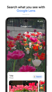 اسکرین شات 6 برنامه گوگل فوتوز (Google Photos)