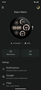 اسکرین شات برنامه Google Pixel Watch 2