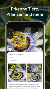 اسکرین شات برنامه Google Lens 2