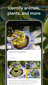 اسکرین شات 4 برنامه Google Lens