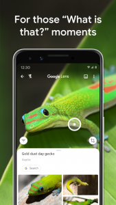 اسکرین شات برنامه Google Lens 8