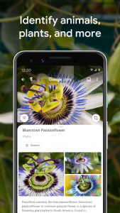 اسکرین شات برنامه Google Lens 4