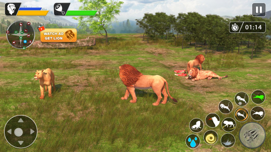 اسکرین شات بازی Lion Games Animal Simulator 3D 2